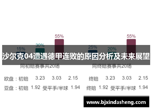 沙尔克04遭遇德甲连败的原因分析及未来展望